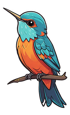 colibri 02